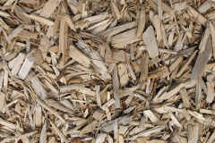 biomass boilers Chicheley